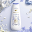 Dove Bridgerton Body Wash - Wisteria Scent - 20oz