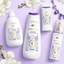 Dove Beauty Limited Edition Bridgerton Antiperspirant & Deodorant Stick - Whispering Wisteria - Orchids & Champagne Scent - 2.6oz