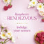 Dove Bridgerton Body Wash - Raspberry Rendezvous - 20oz